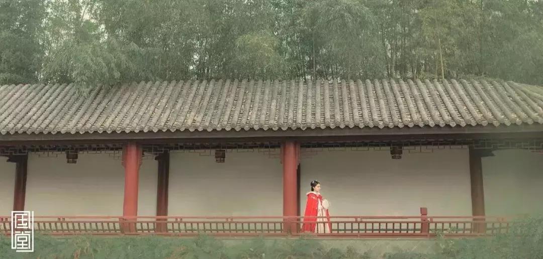 有一种修养叫勿以身贵,有一种修养是熟不逾矩