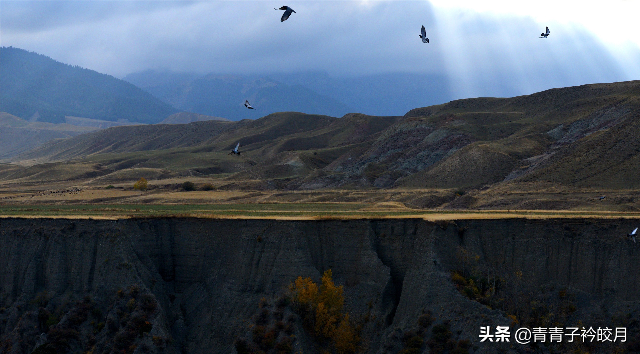 新疆的十大峡谷景点排名,新疆值得玩的大峡谷