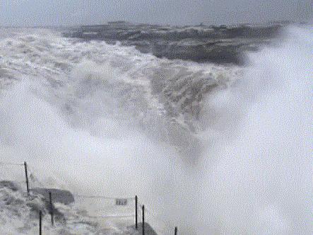 曝光|姨妈巾到底有多“脏”？你有权知道！