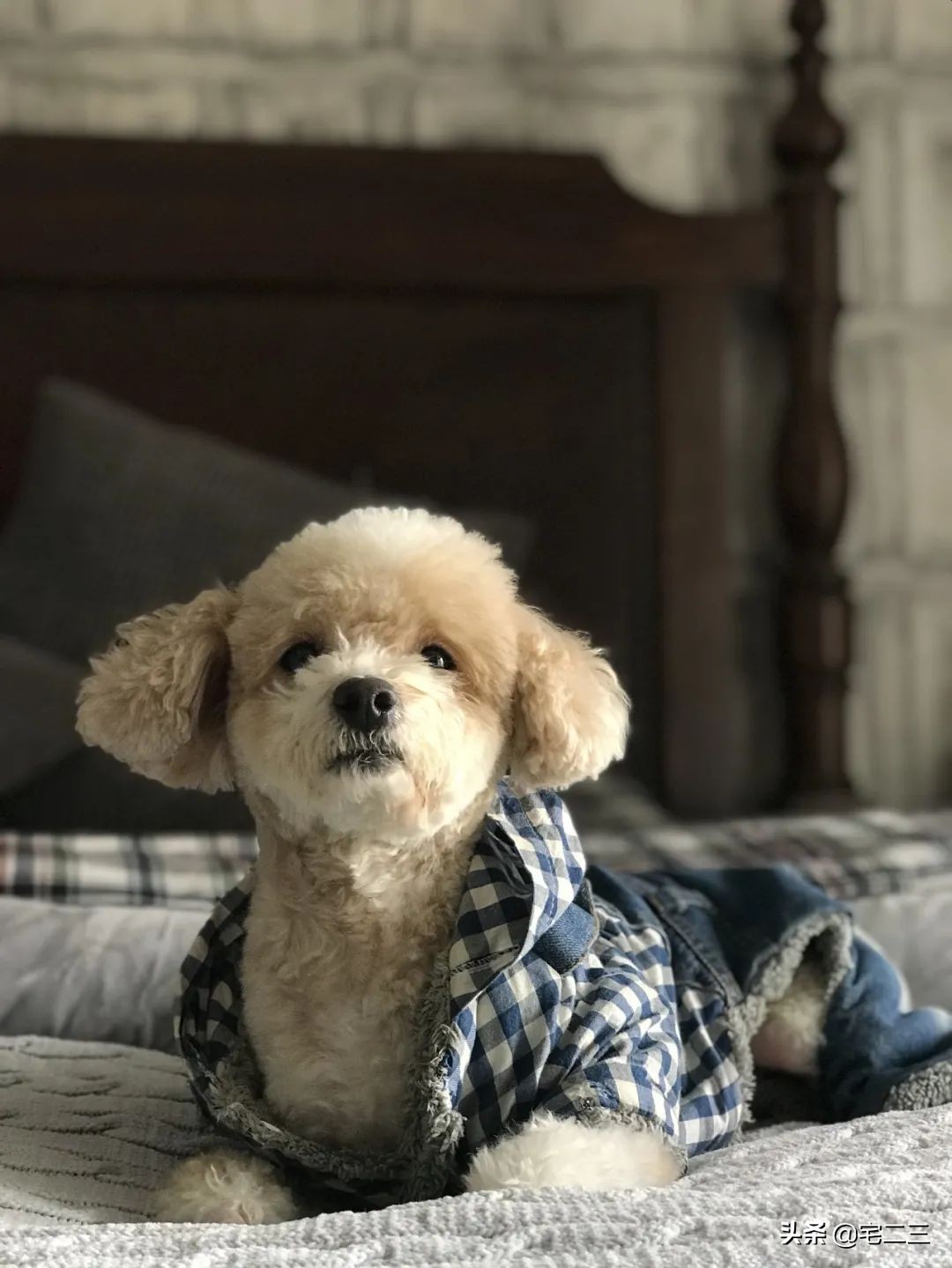 嗜好旧物的90后,用柔软的心构建家中岁月感