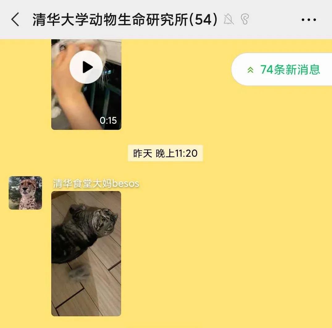 微信群名骚气有内涵的,当代年轻人微信群名