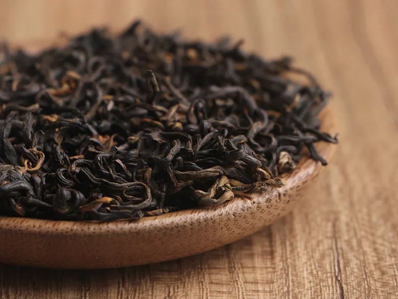 世界唯一的茶籽化石在贵州普安,茶籽化石被保存在哪个博物馆