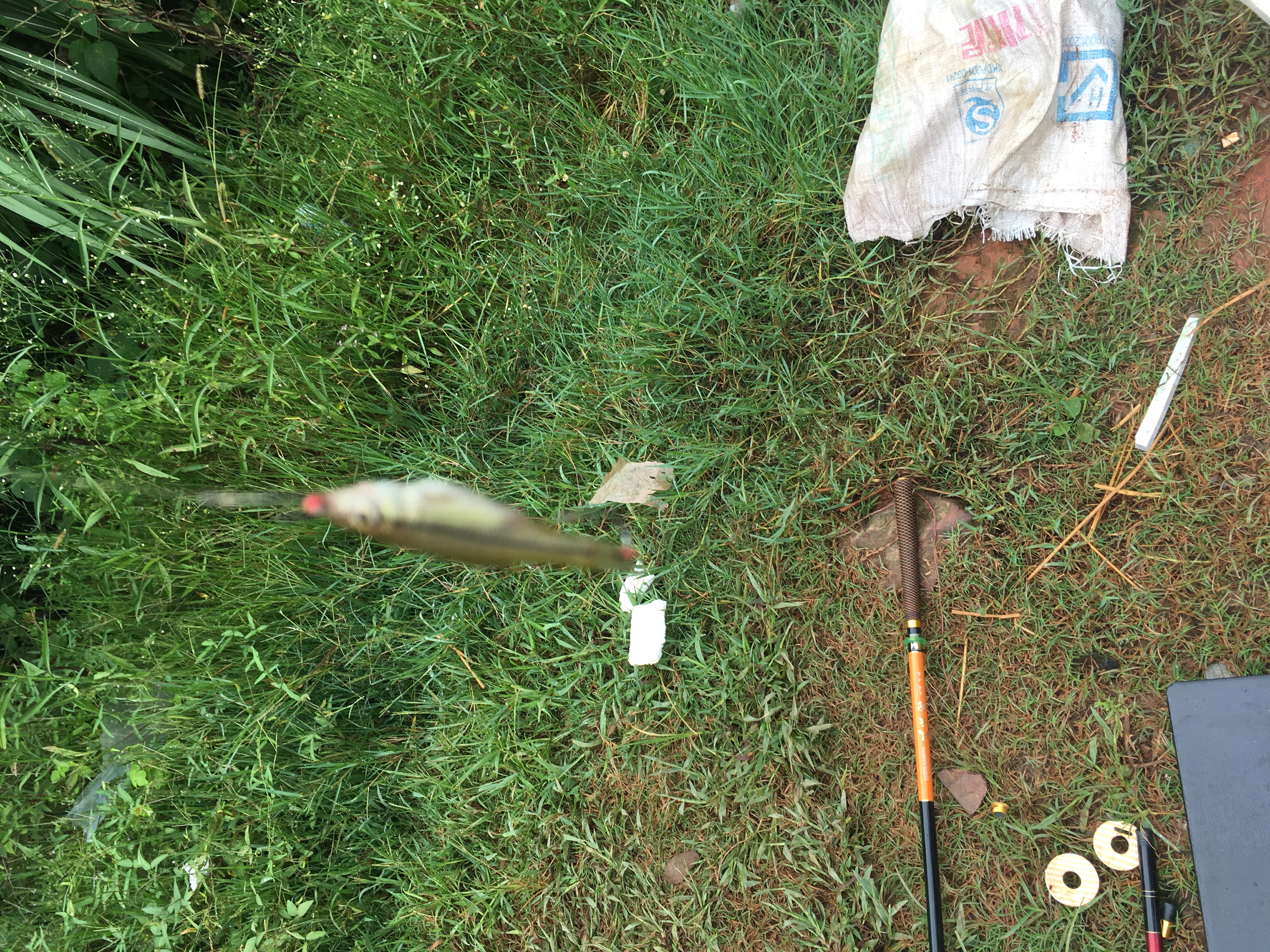 望大V能够分享一下|真实经历分享#钓鱼人#职业病之香虎手治疗方案