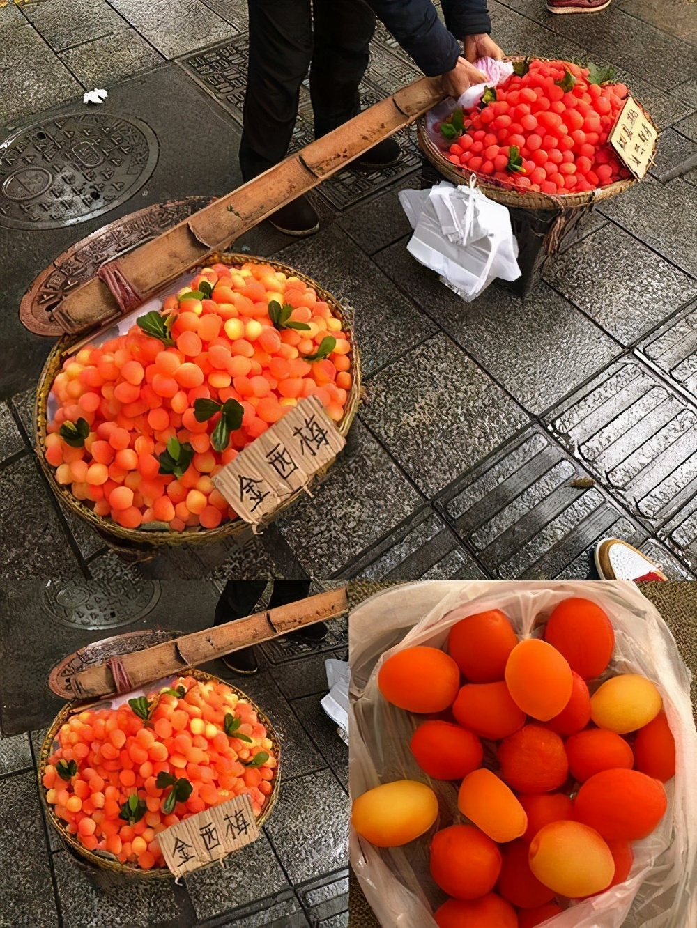 莲花果属于什么植物,莲花果介绍