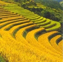 中国历代的三十大发明，每一个都超越了时代，都征服了世界