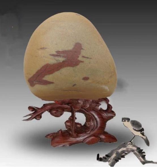 都是些什么“鸟石”？保证有你好看