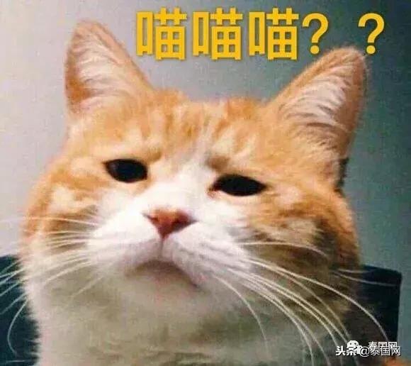 泰国酒吧有什么猫腻,泰国酒吧有猫腻吗