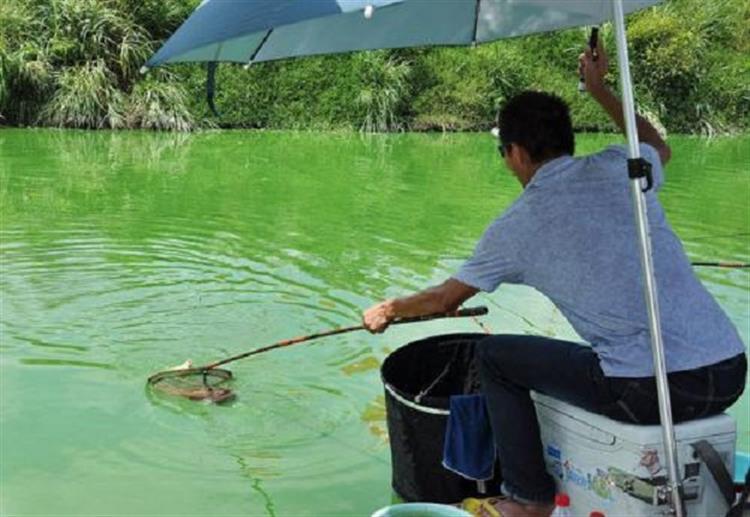 十种钓大鱼绝招,窝鱼技巧