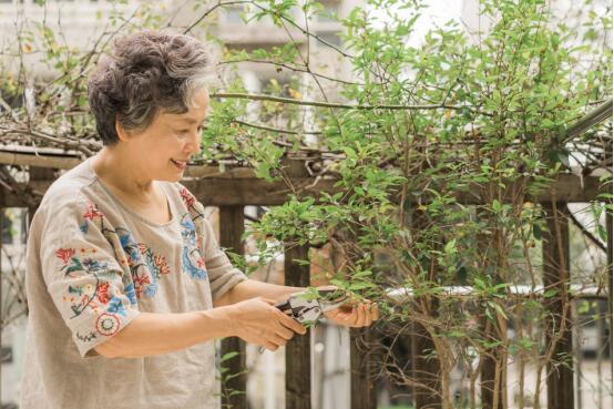 模特就一定年轻貌美?这个71岁的淘女郎秒杀维密大长腿