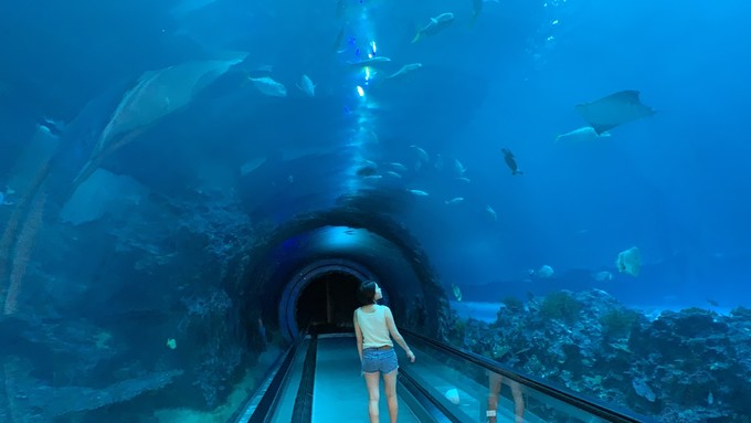 台湾环岛14天,台湾环岛8日游性价比高吗