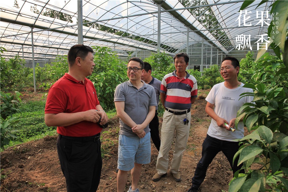 卖文化,卖创意,这家以柑橘为主题的农场好不正经