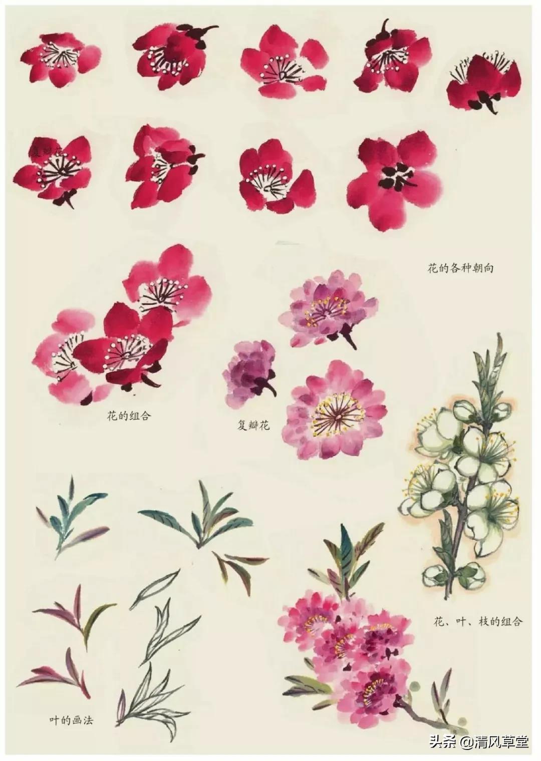 少儿国画花卉画法视频,各种花卉的100种画法