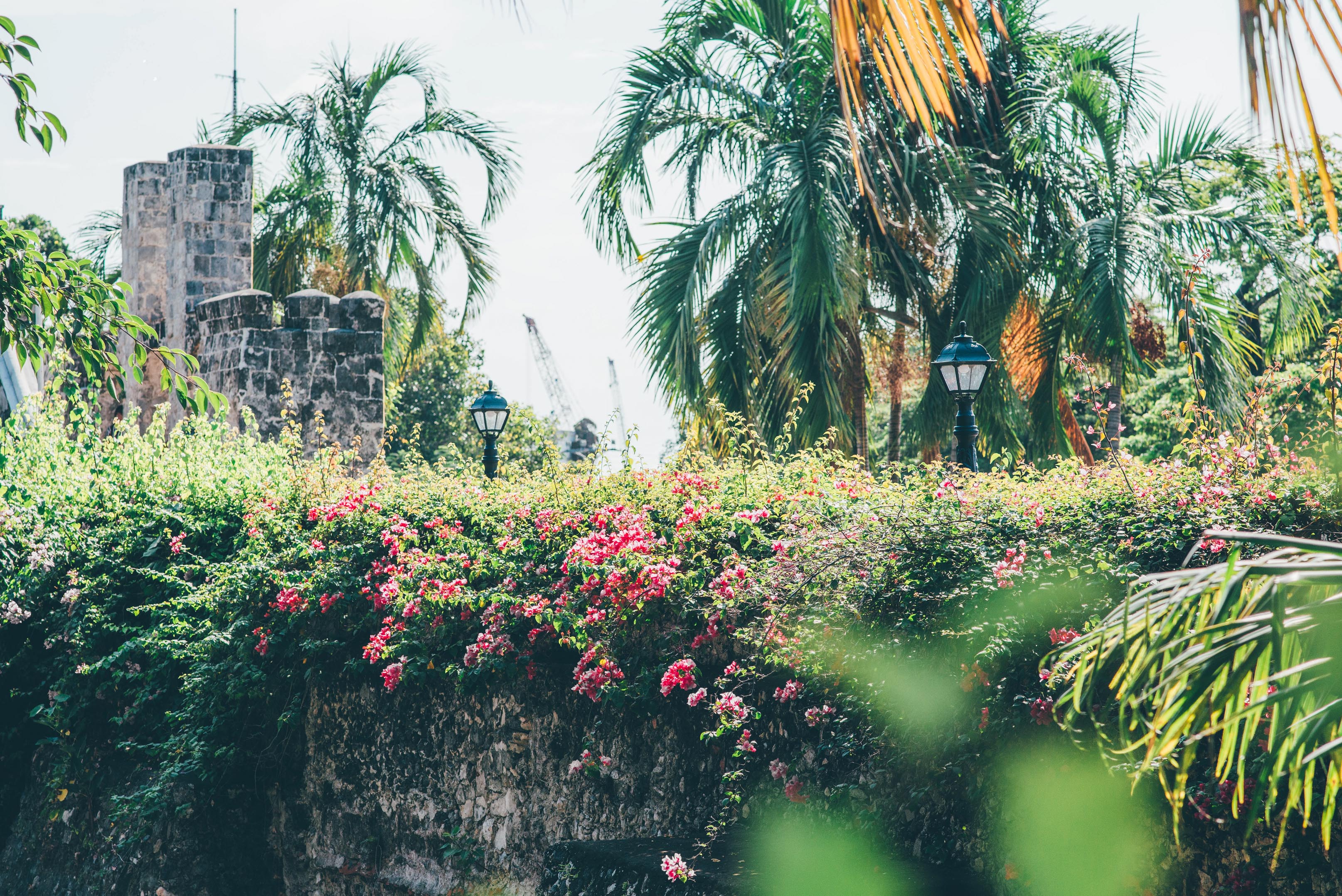 菲律宾宿务薄荷岛旅游攻略华人 (菲律宾宿雾城市风景)