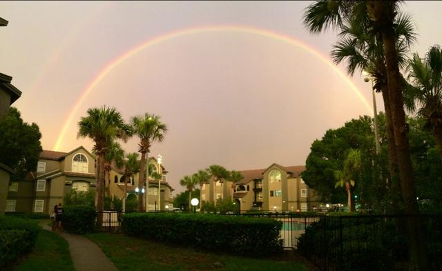 迪士尼深度合作,迪士尼的项目怎么做到这么真实的