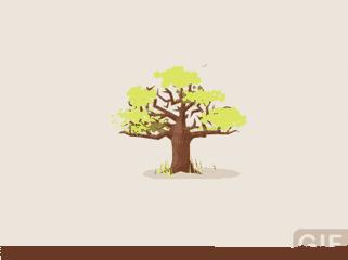 皮肤干燥吃什么中药可以调理一下,养脾胃养肺养肝的懒人养生法