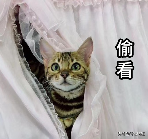 股市能够替代房地产吗,股市取代楼市成为新的货币蓄水池