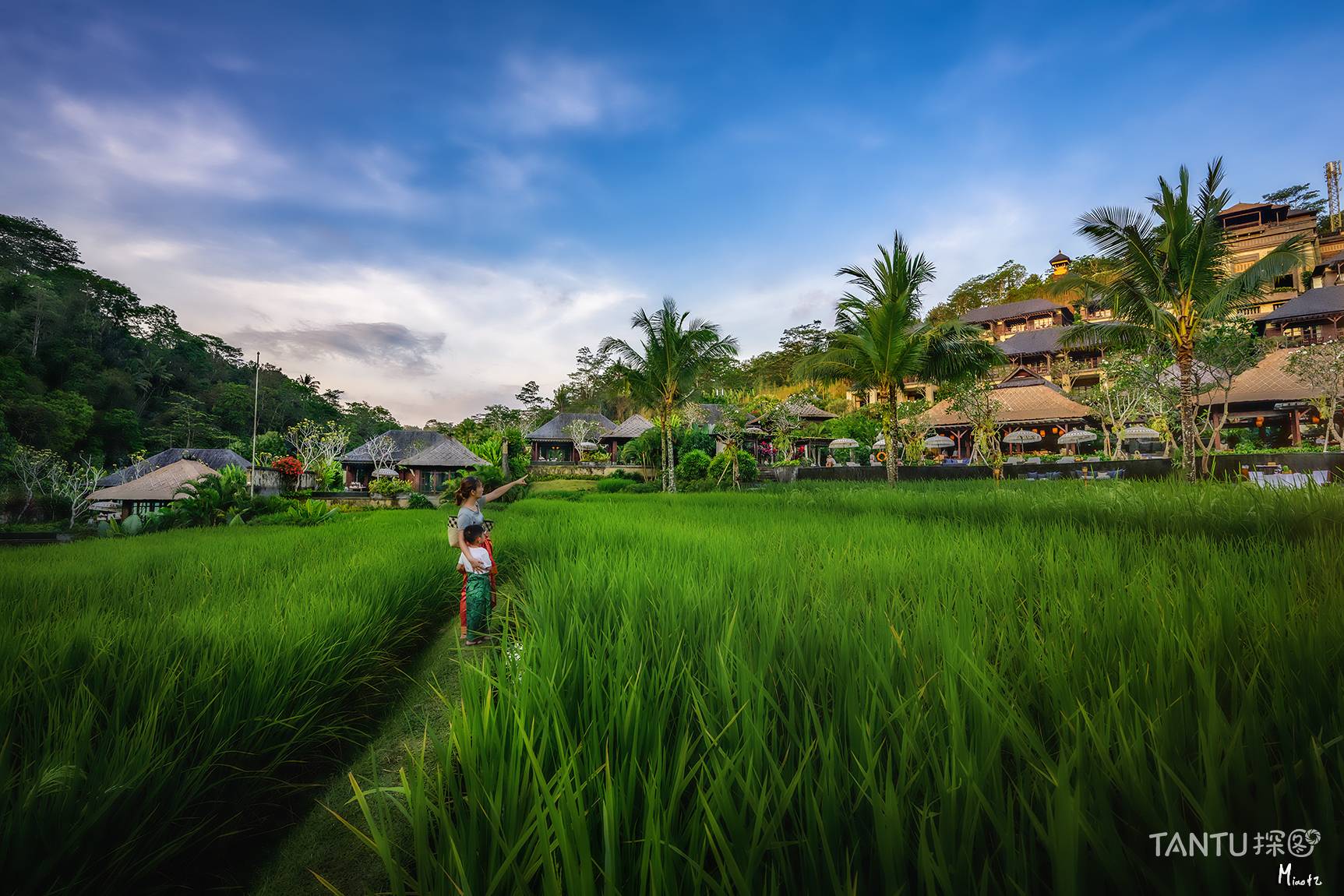 不一样的器材“点评”-第1篇乱入,我的概述、我的相机和镜头