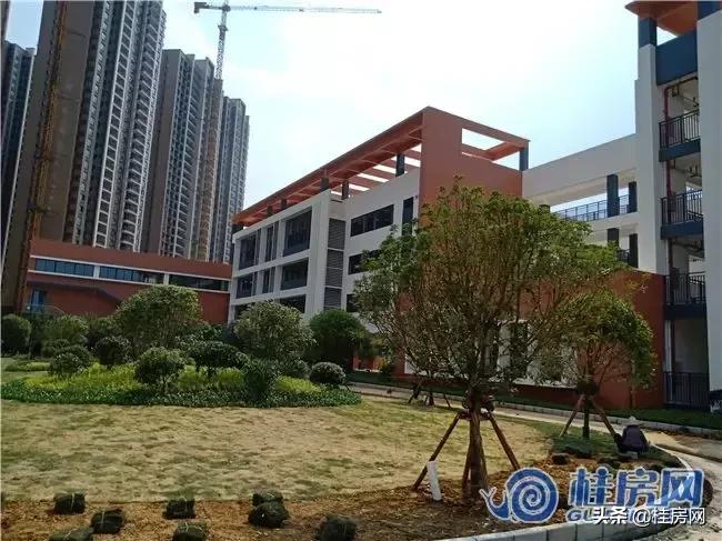 临桂市区风景校园,临桂小学环境