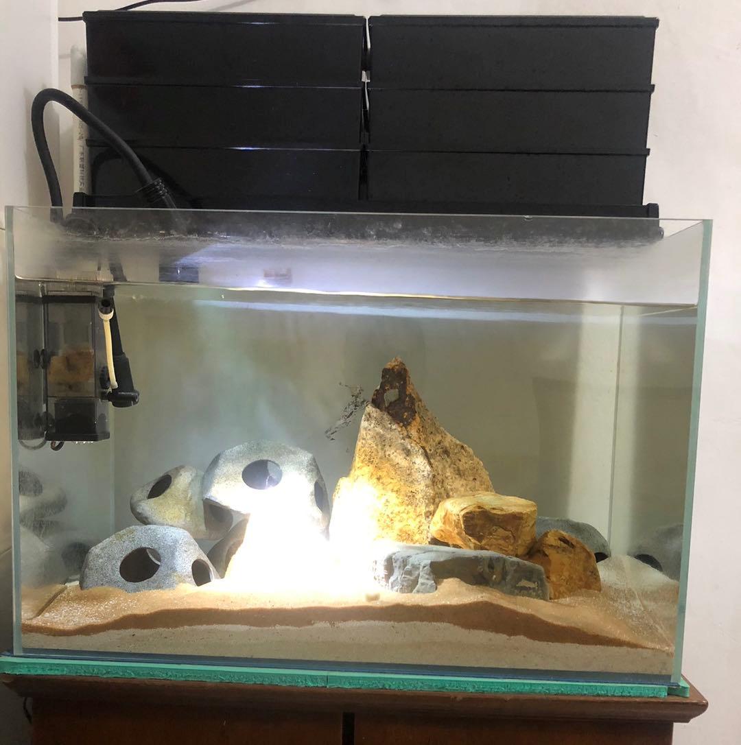 瀑布过滤器壁挂滤筒,底滤瀑布过滤怎么放滤材