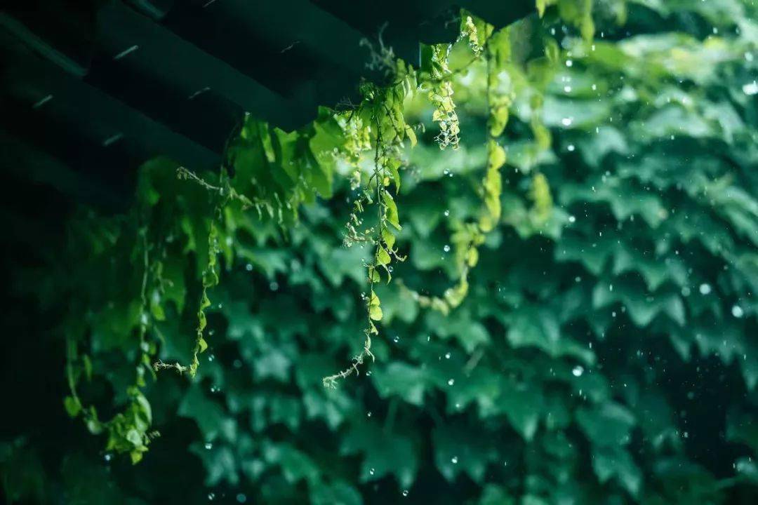 立春过了还能获得立春酒吗,立春节气酒哪款口感好