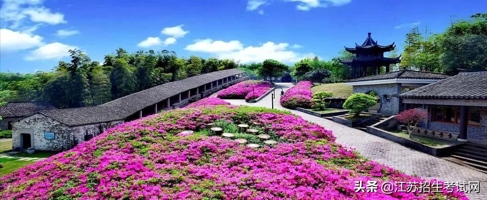 无锡工艺是什么,无锡工艺评价