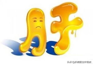 乙肝dna偏高一定要抗病毒吗,乙肝dna定量高要吃护肝药吗