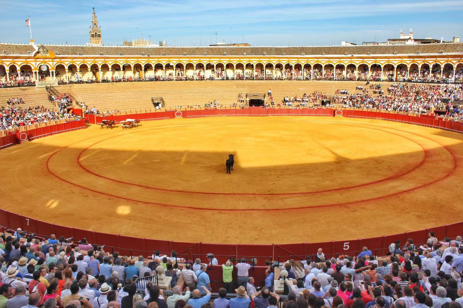瑗跨彮鐗欐渶浣虫梾娓稿湴,瑗跨彮鐗欐渶缇庢梾娓稿湴