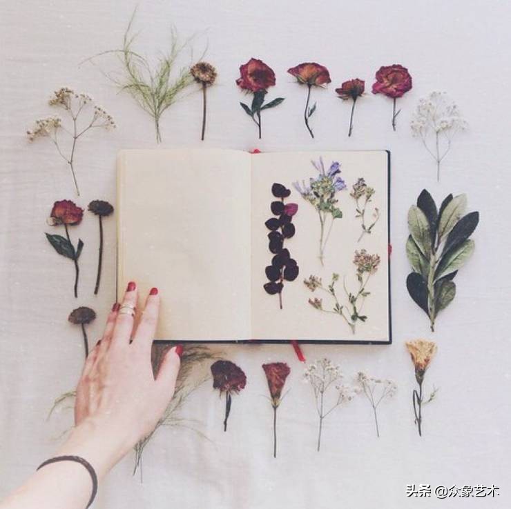 如何制作干花片,如何制作干花花束