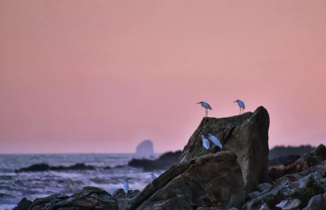斯里兰卡海岛和马尔代夫,马代平价岛屿