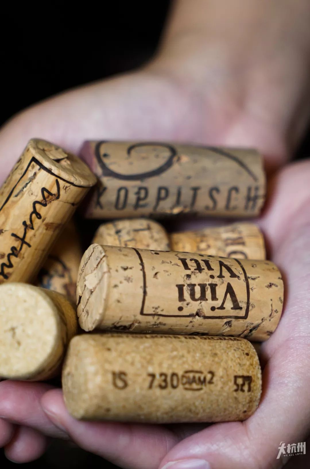 自从走进杭州这家酒吧，我就彻底入了新生代网红“自然酒”的坑