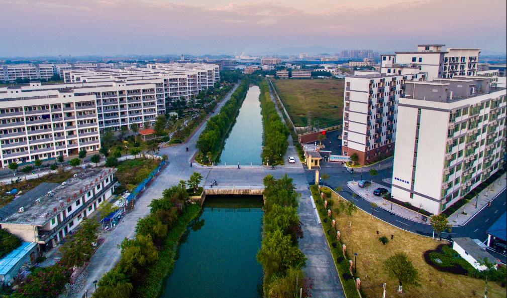 广州工商学院网红,广东高校网红