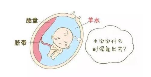 宝宝斜视吃什么,宝宝眼睛斜视可以哭吗