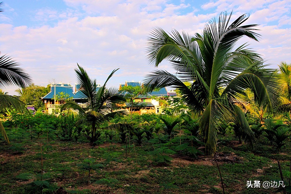 西双版纳澜沧江边美景如画,西双版纳空中夜景