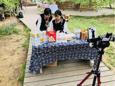 村播计划,阿里村播计划怎么设置