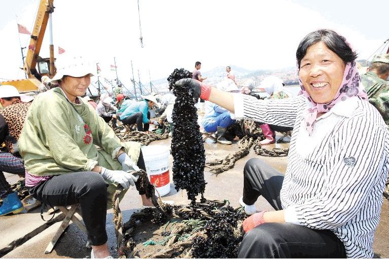 荣成最正宗的海鲜,荣成的小海鲜都有啥