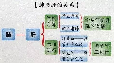 三月宜养肝做好四件事肝好百病消,百病从肝治穴位