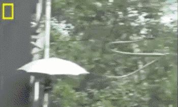 科普张姿势动图:感觉自己姿势又涨了100点