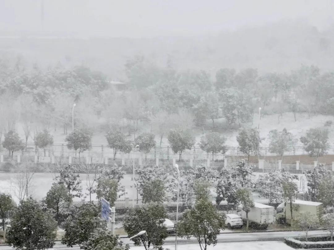 全国首位新冠肺炎患者,全国第一个感染新冠病毒的人