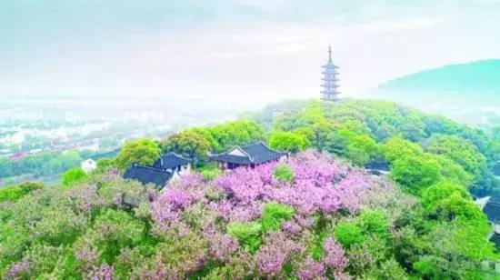 光福福利来了！西北地块控规调整将新增一块商服用地