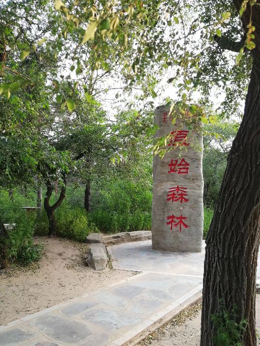 自然写作素材,草木恩典主题思想