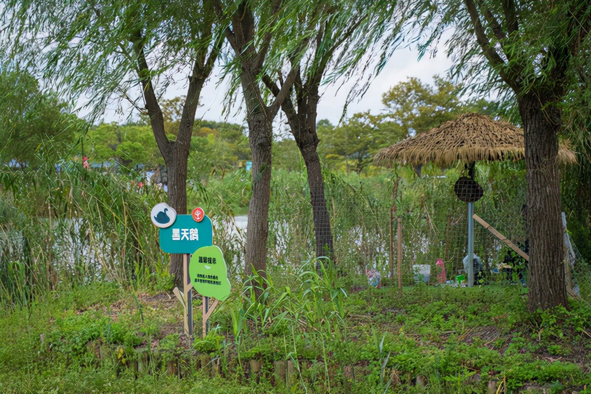 同里古镇亲子游,同里湖度假村亲子游