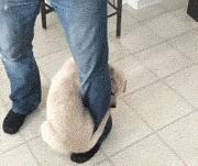 常见的20种网赚骗术揭秘,韭菜有效套路