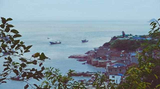 福鼎旅游数据,福鼎纪录片