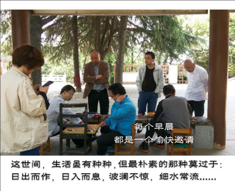 弈城9d,弈城9d是什么水平