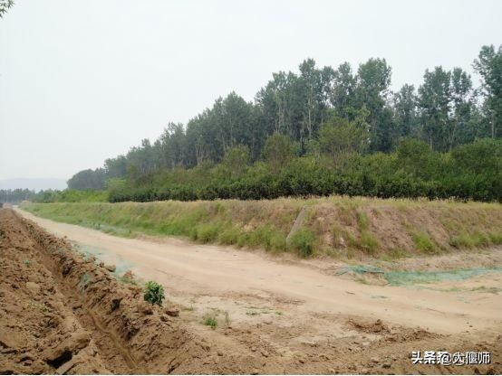 偃师是千年古县吗,偃师历史讲解