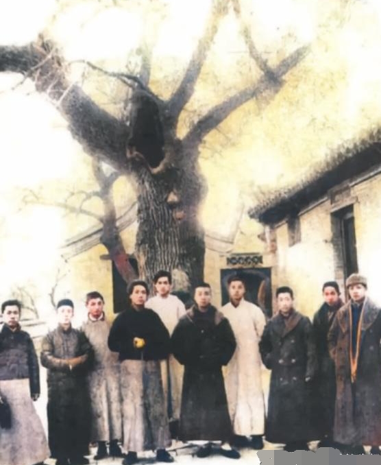 毛主席的诗词好不好？鲁迅的评价很准确，胡适像找茬：没一句通顺