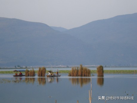 百度一直不收录我的文章怎么办?教你几个小方法