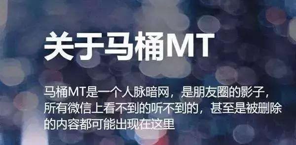 bt天堂判刑案例,bt天堂最终判决结果