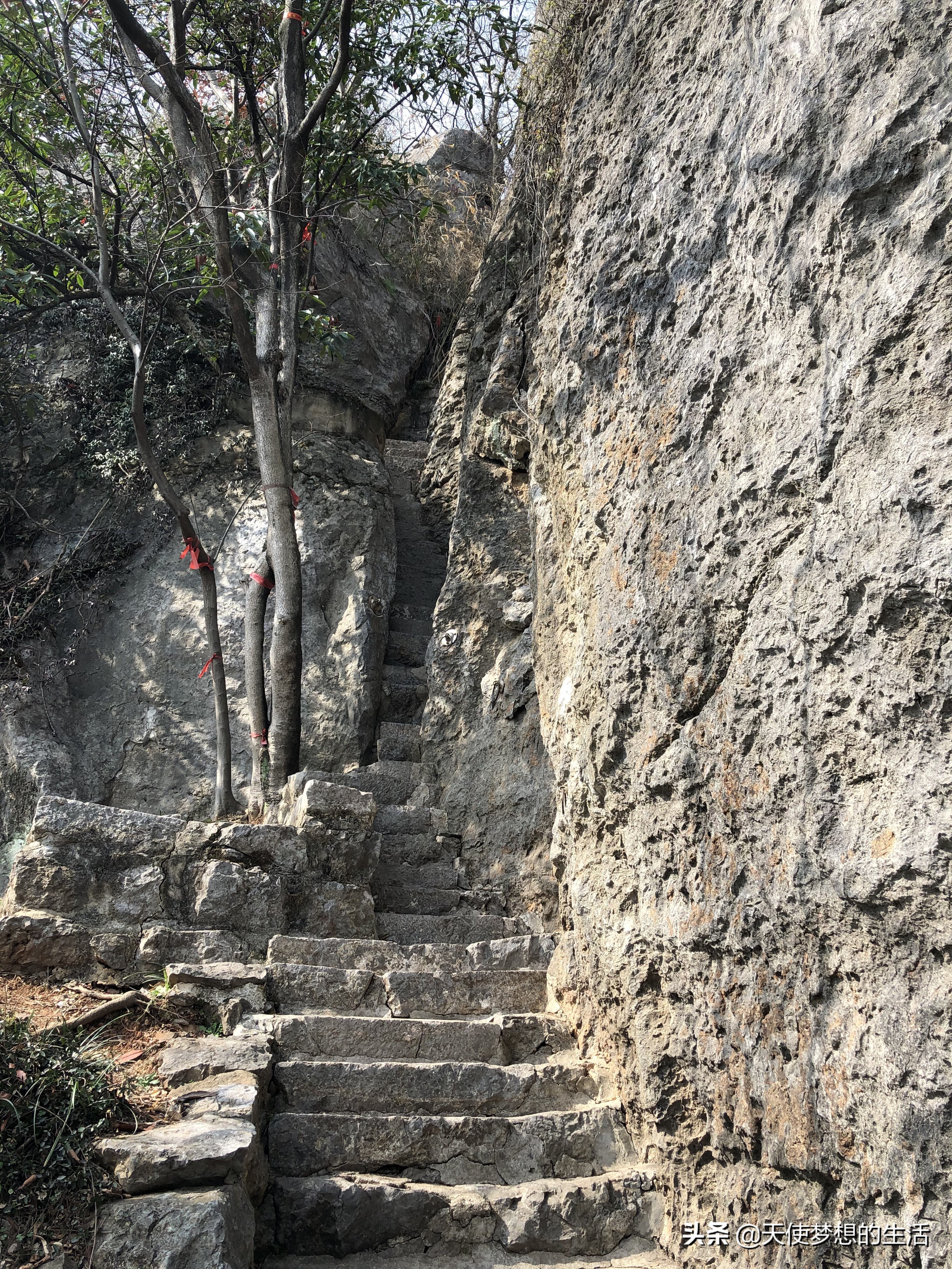 苏州太湖三山岛景区,苏州太湖的三山岛有风景吗