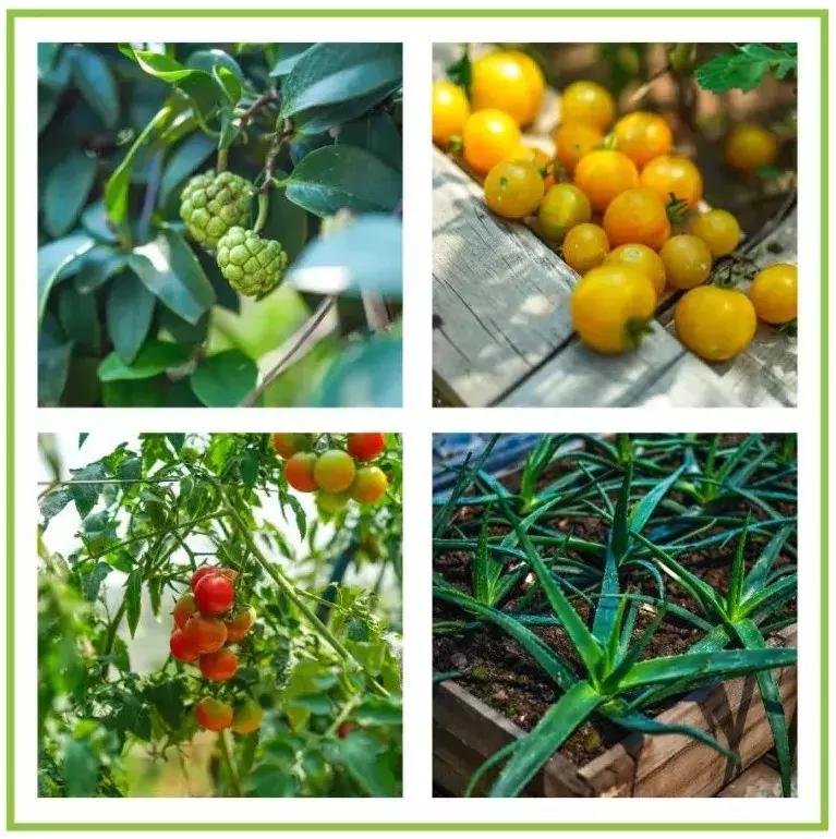 深圳「废弃染布厂」变废为宝，化身“湖畔花园”美若世外桃源！